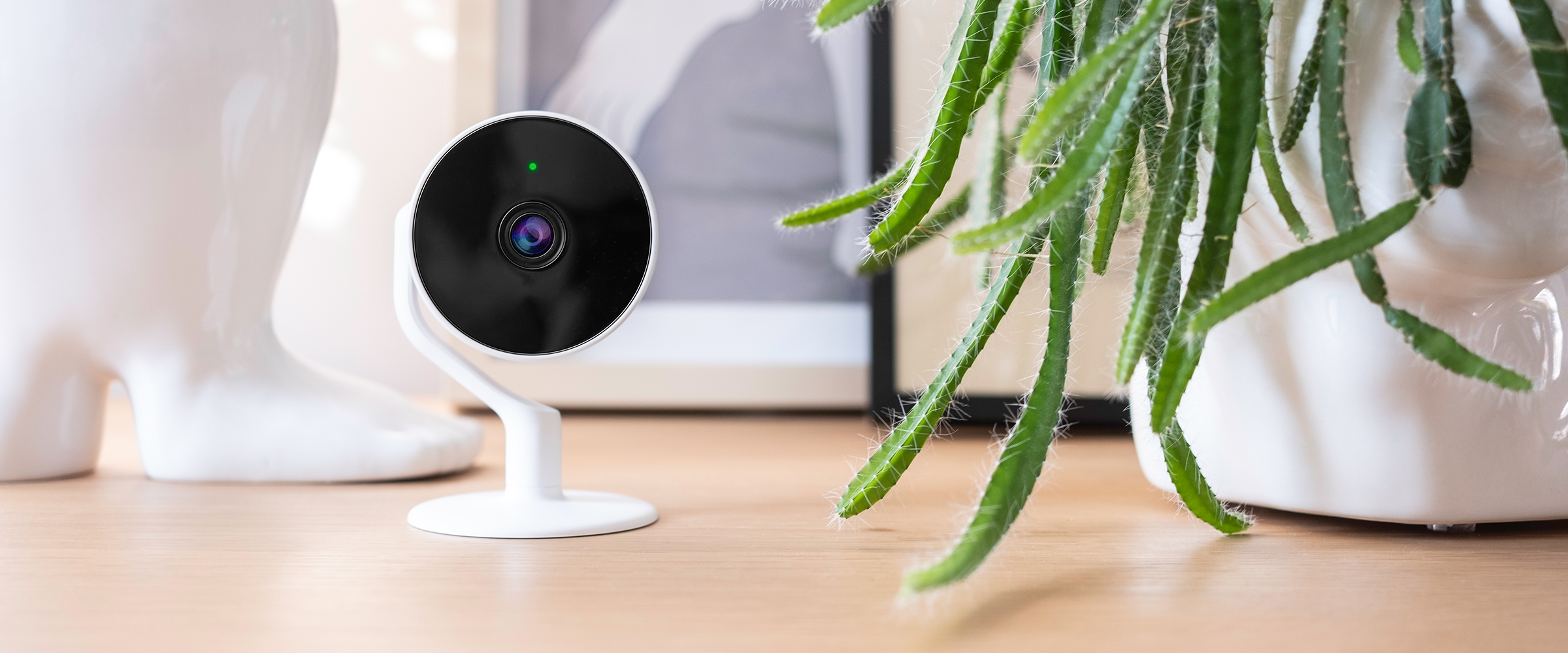 Smart Indoor Camera